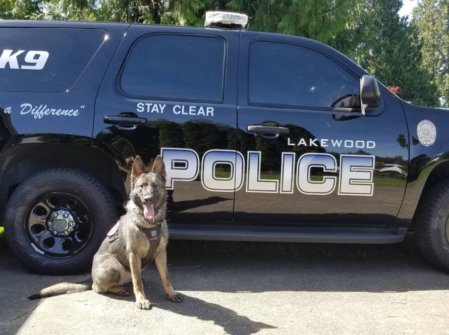 Lakewood Police Department K9 Unit
